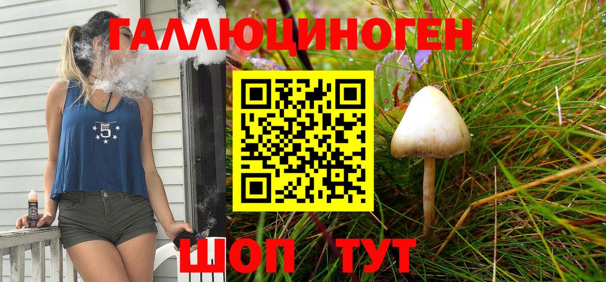 Псилоцибиновые грибы прущие грибы  Вход с VPN  Павлово 